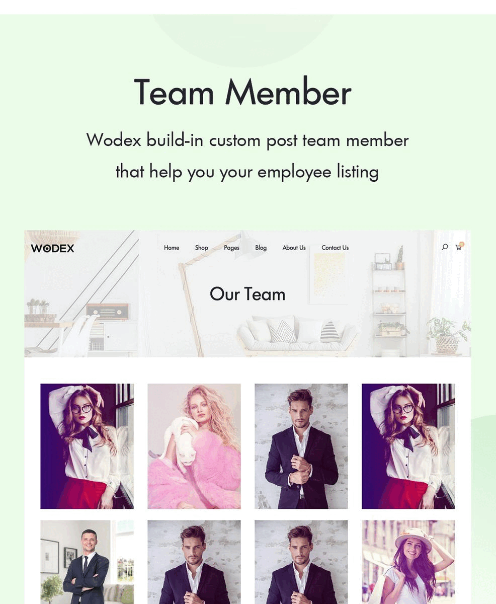 woocommerce theme team member feature